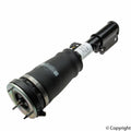 Suspension Strut Assembly R905451