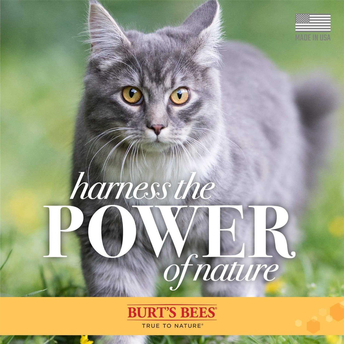 Waterless Cat Shampoo R339557