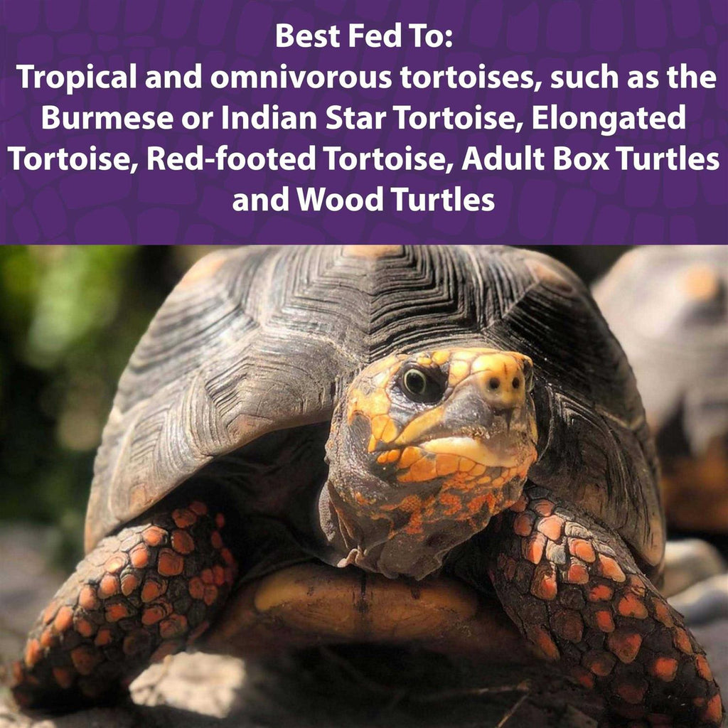 Tortoise Diet Q4939