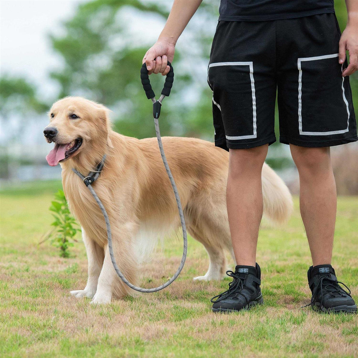 6 FT Durable Slip Lead Dog Leash with Zipper Pouch P608