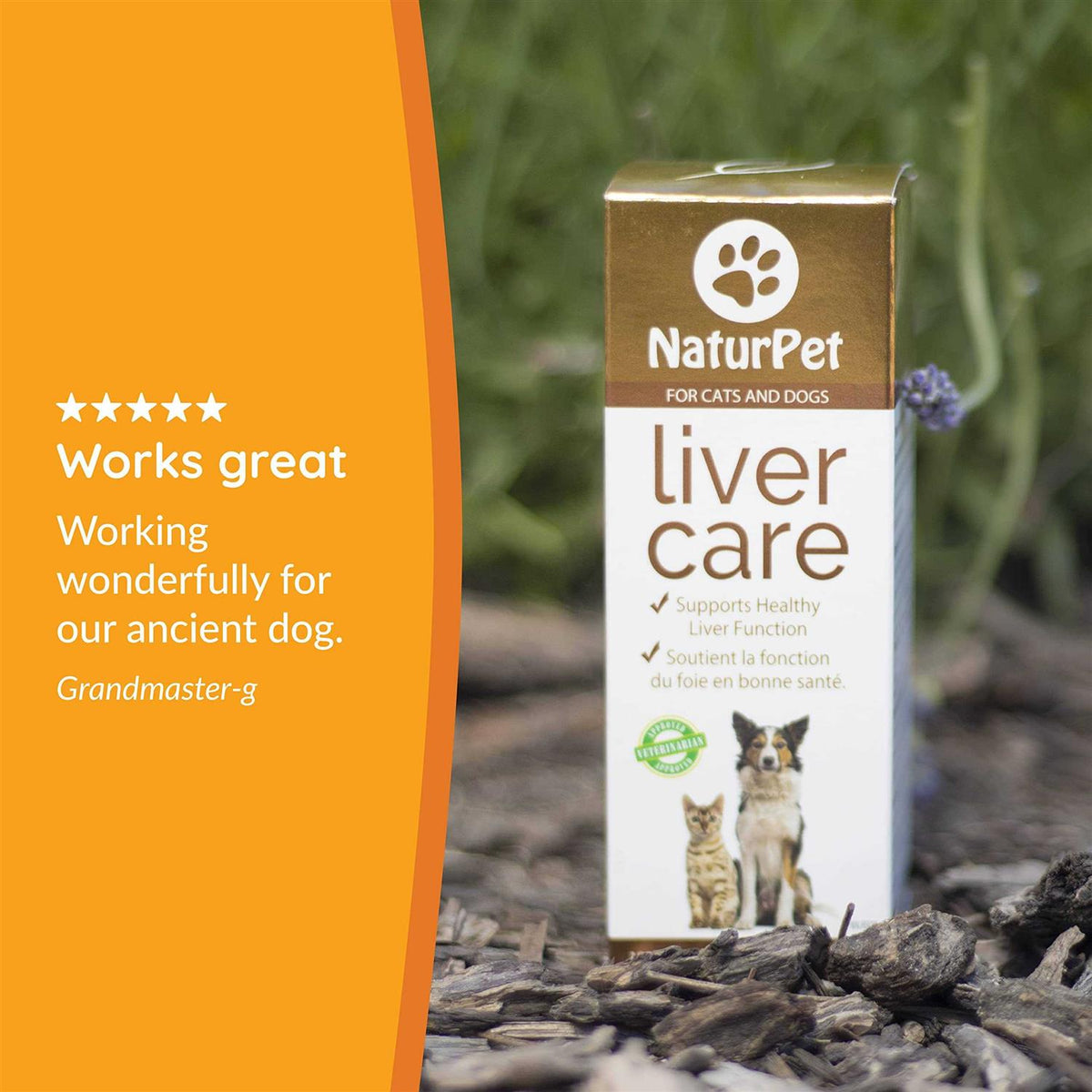 Liver Care 100ml Pet Supplies N914037