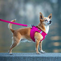 Air-Mesh Dog Harness V44755