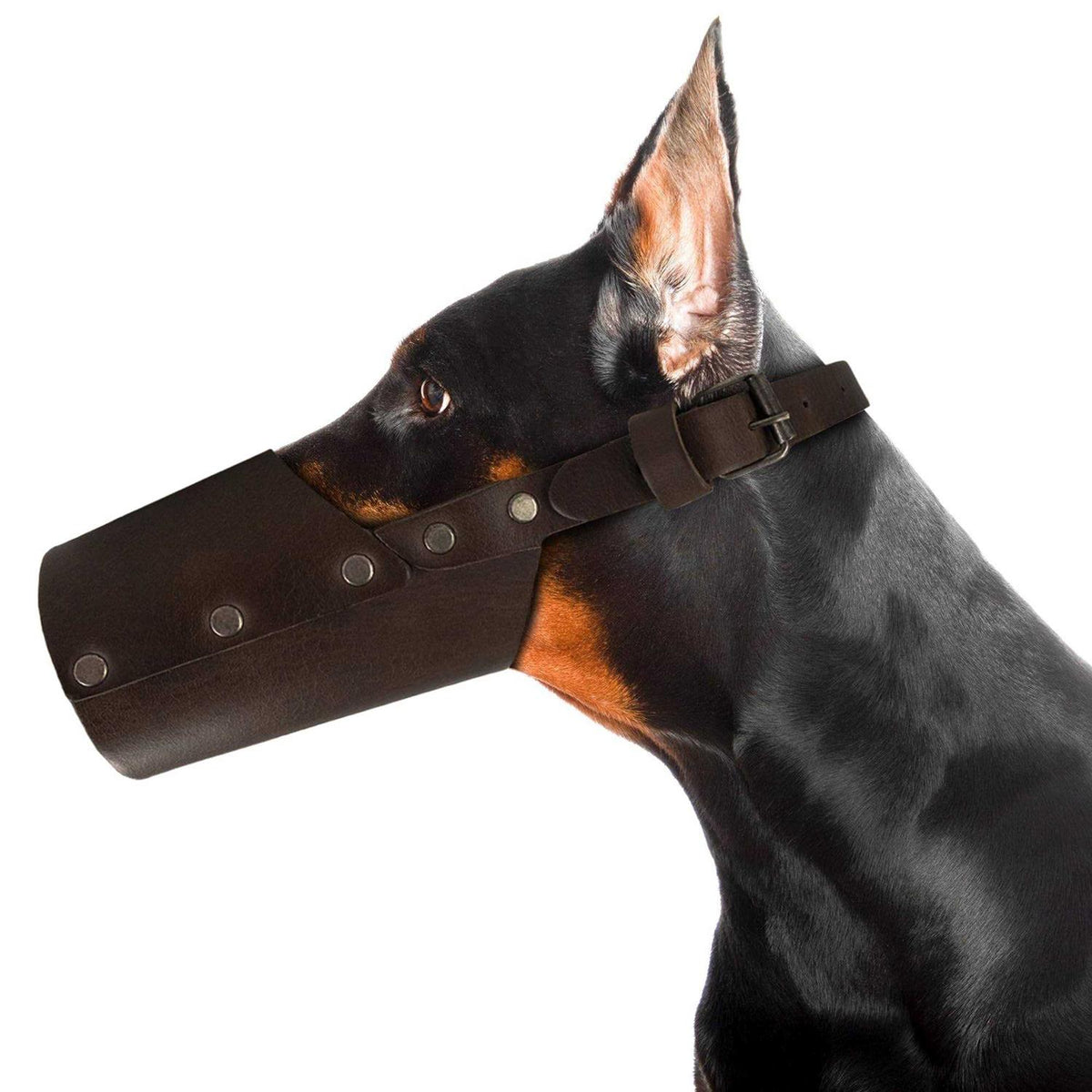 Leather Dog Muzzle K4145