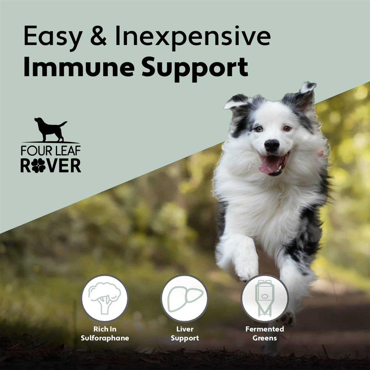 Green Rover Pet Supplies X1344