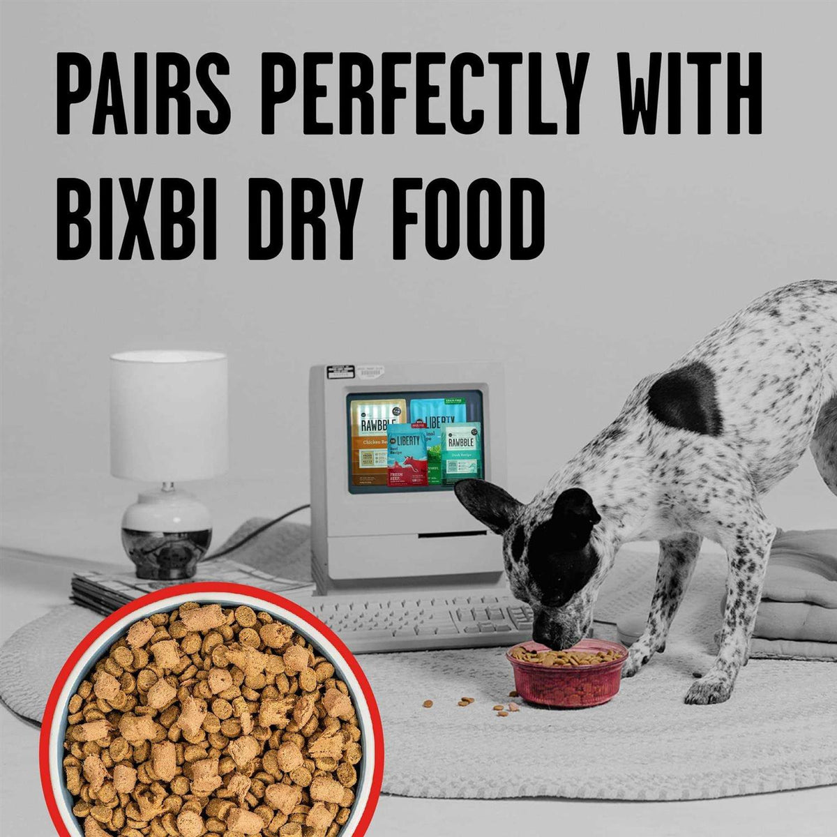 Freeze Dried Beef Dog Food V470527