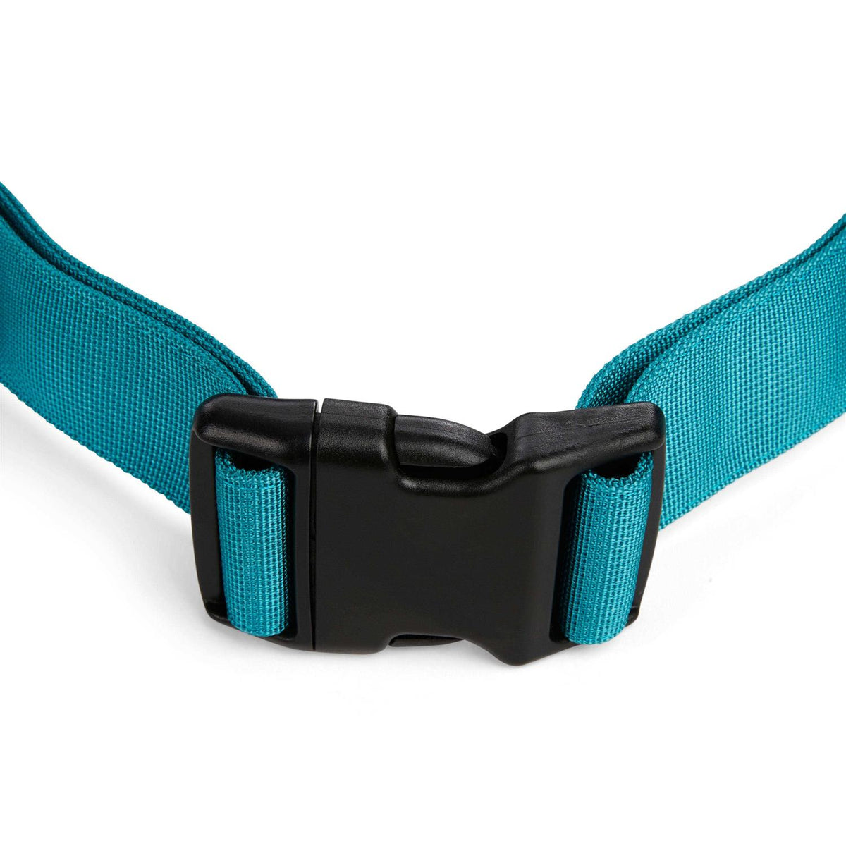 Running Belt & Leash Set for Dogs K858165