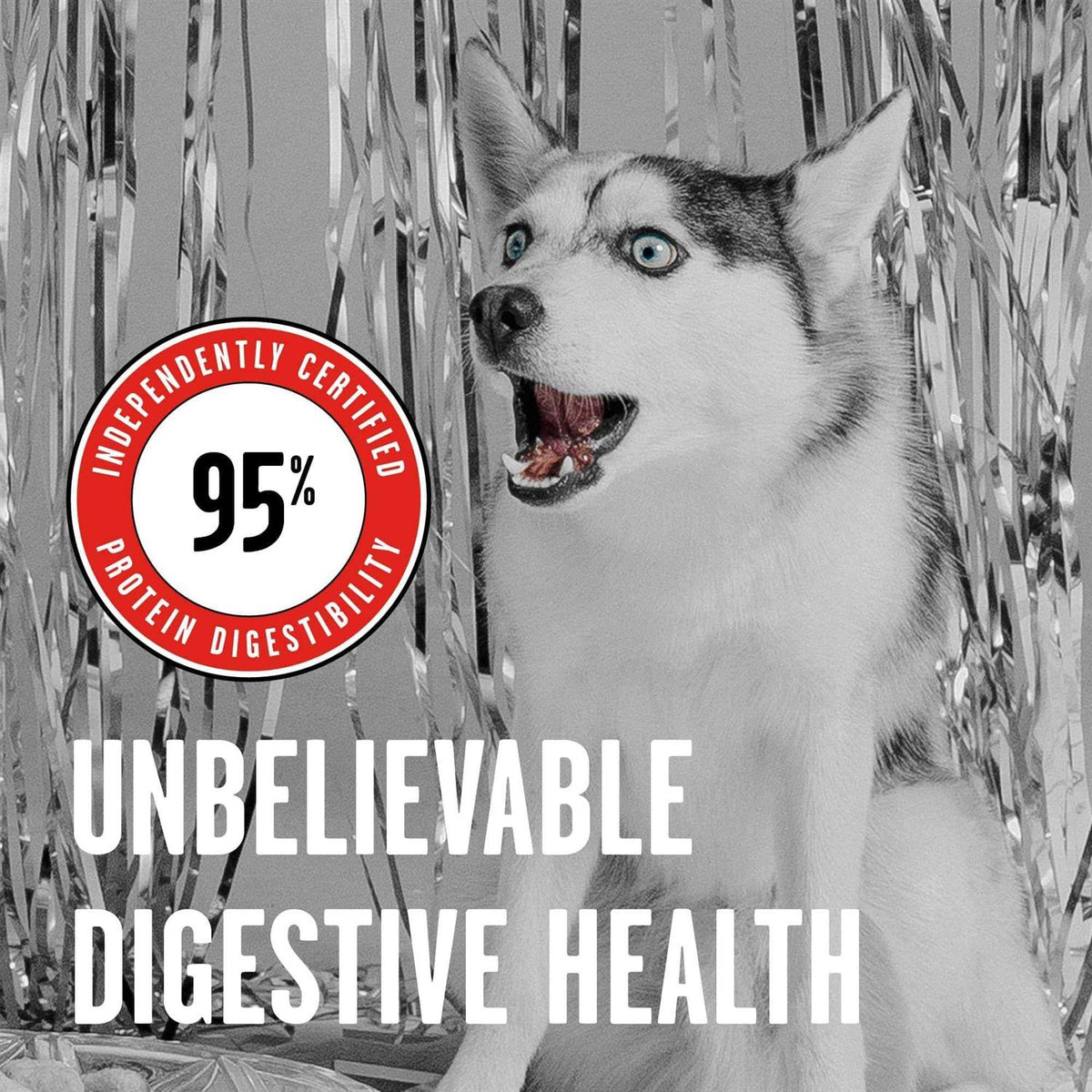 Freeze Dried Beef Dog Food V470527