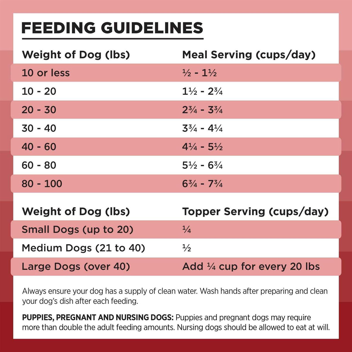 Freeze Dried Beef Dog Food V470527