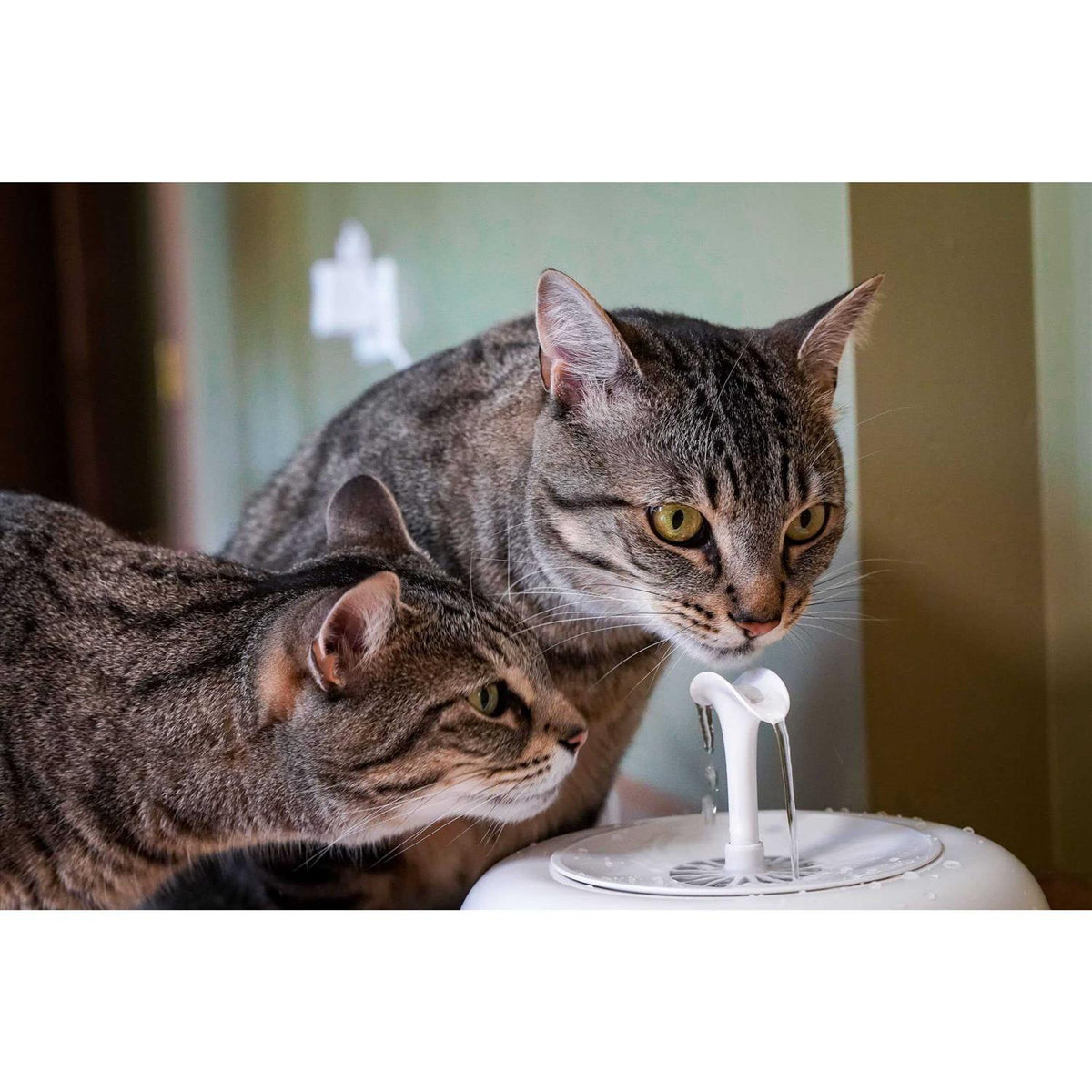 Water Fountain for Cats and Small Dogs with 5-Layer Filter N96608