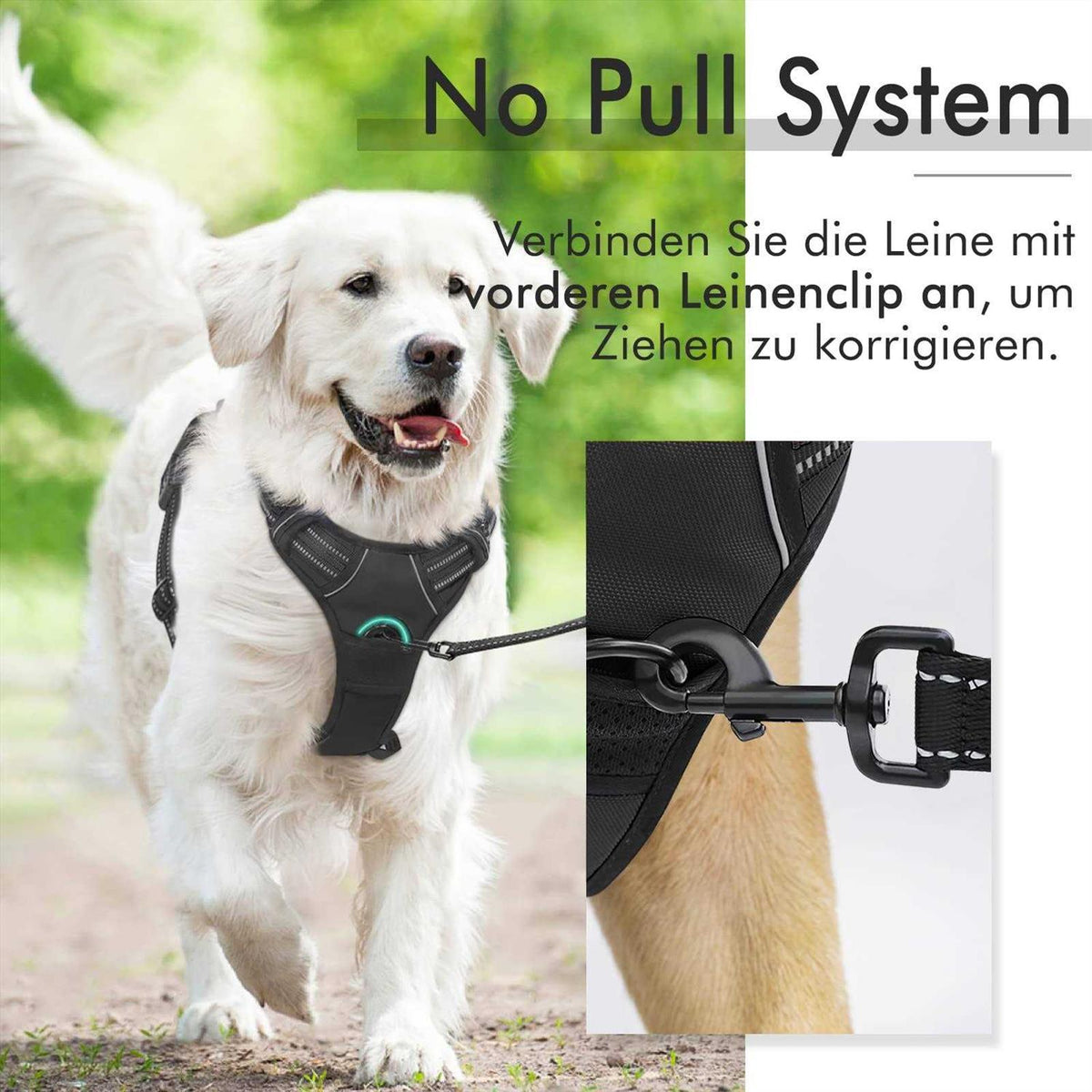 Adjustable Soft Padded Dog Harness with 2 Leash Clips T20565