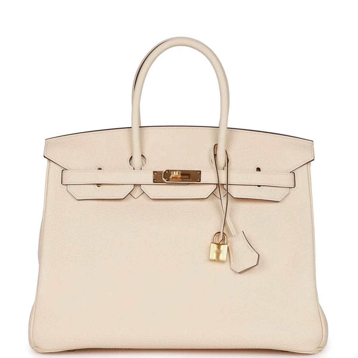 Birkin 35 Nata Clemence Gold Hardware C31147
