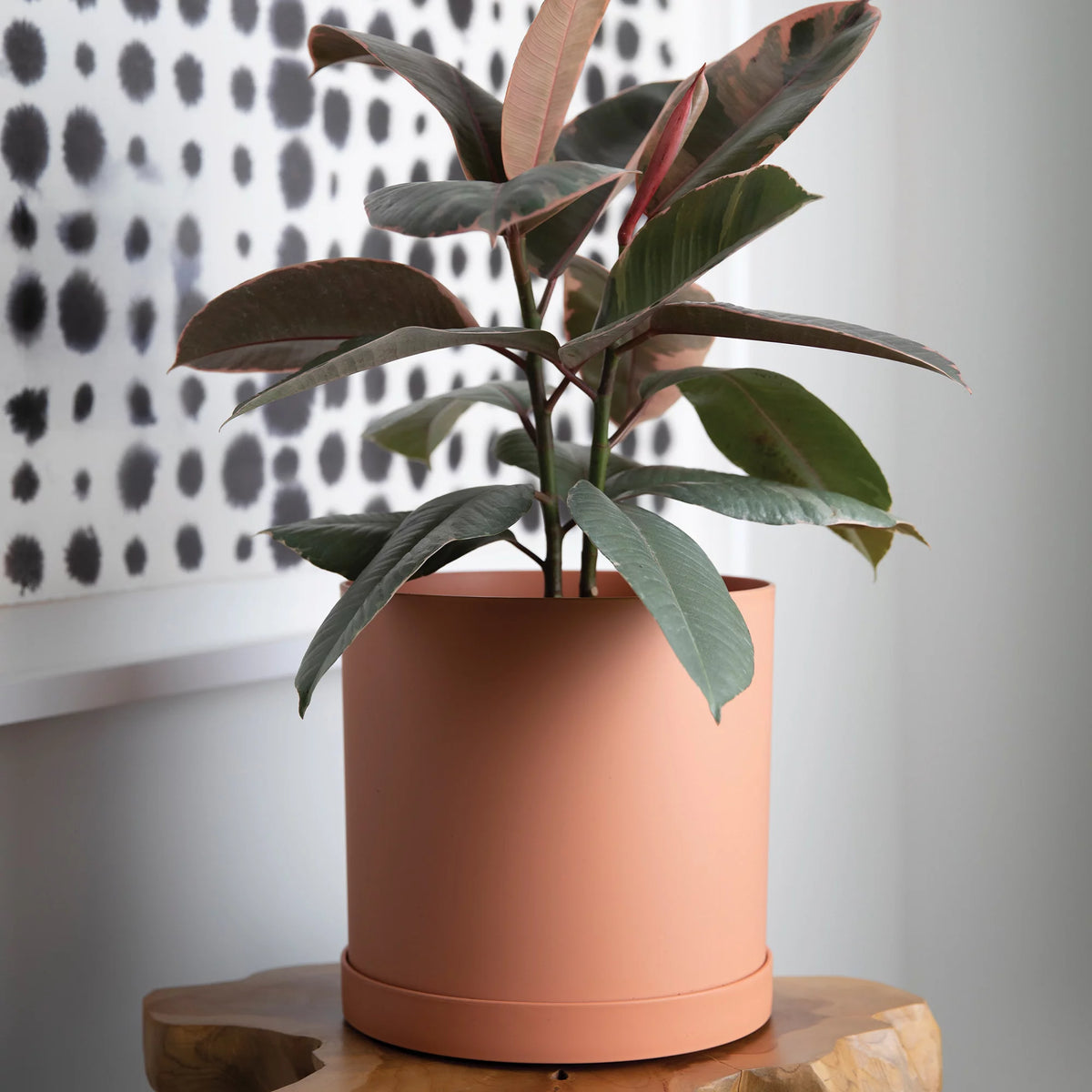 12-in Round Resin Planter with Saucer L936728