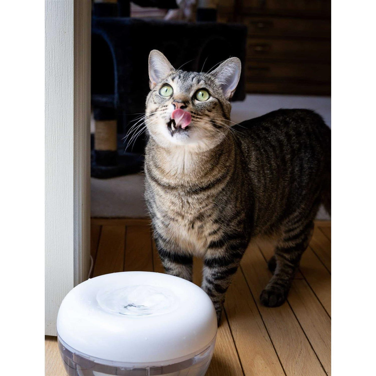 Water Fountain for Cats and Small Dogs with 5-Layer Filter N96608