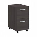 2-Drawer Mobile File Cabinet L38239