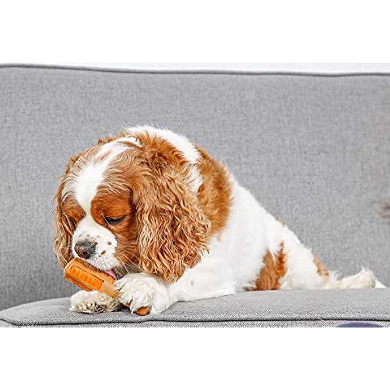 Chicken Flavored Dog Treat & Chew Toy K175922