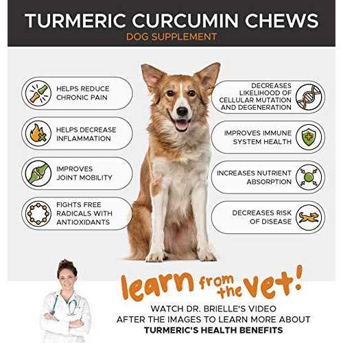 Dog Hip + Joint Health Turmeric Chews O81450