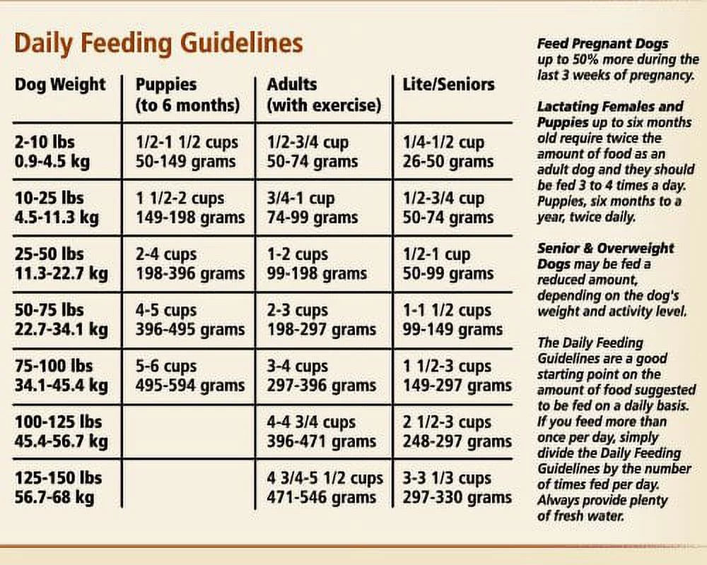 Lamb Meal & Rice Dry Dog Food, 5 lb P929
