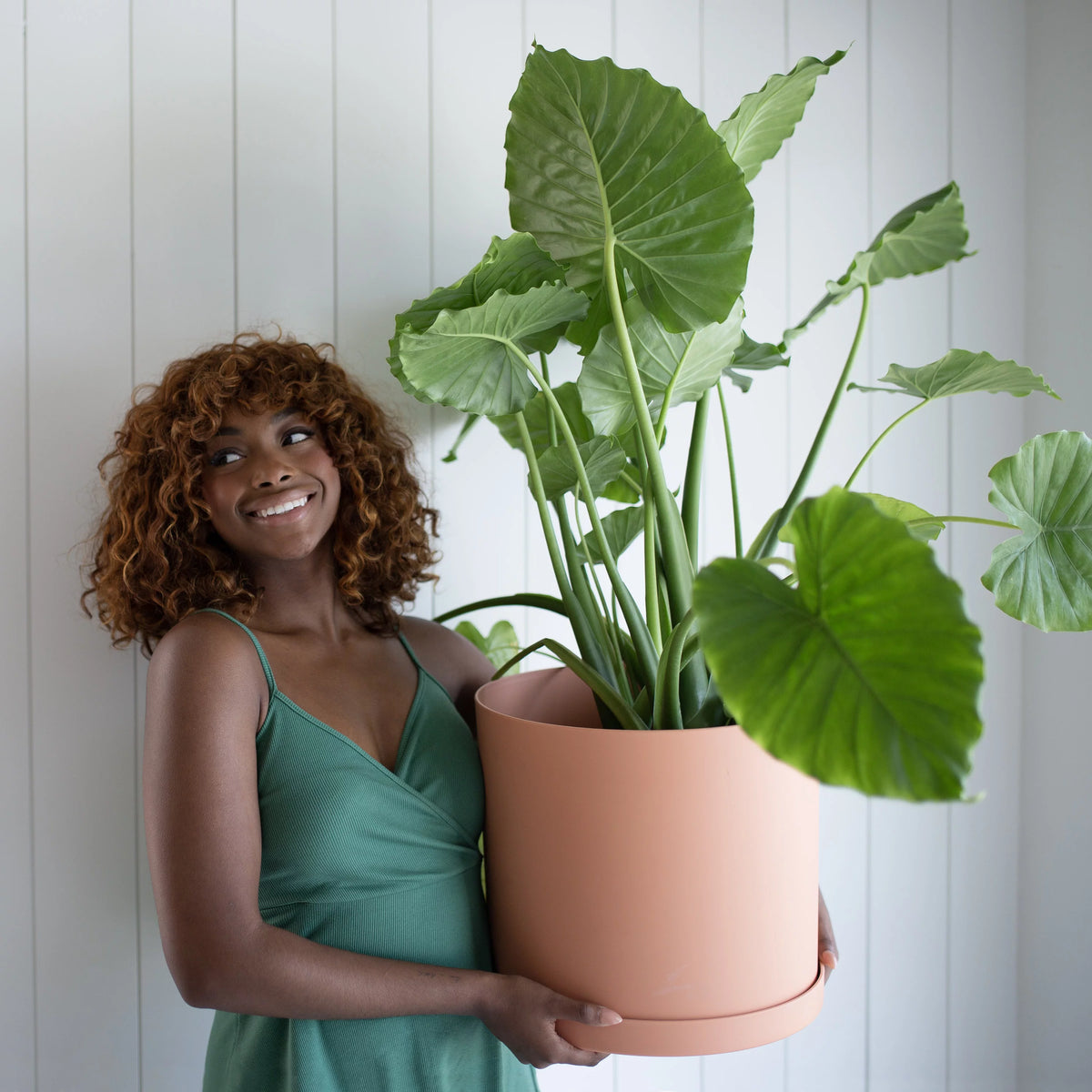 12-in Round Resin Planter with Saucer L936728
