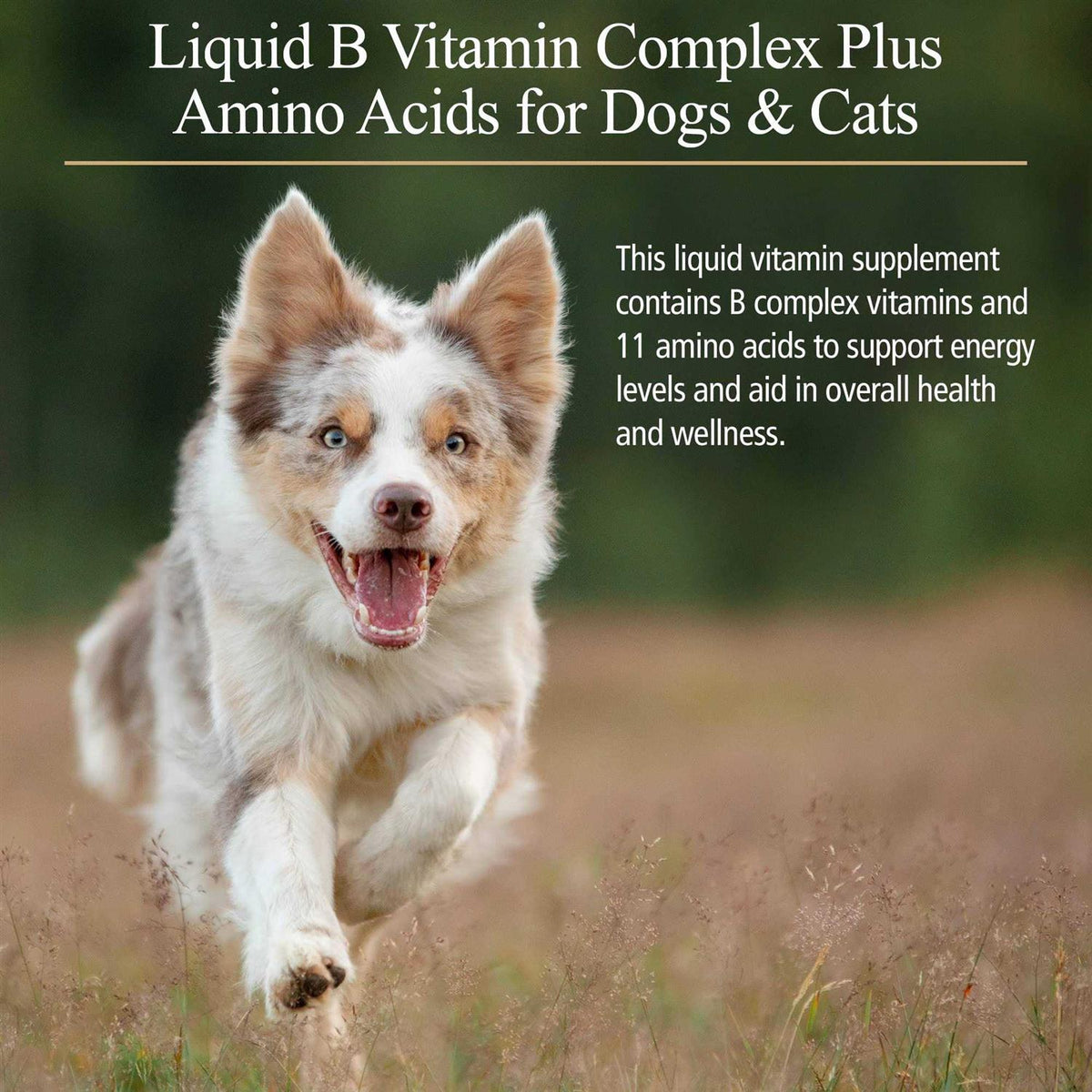 Amino B-Plex for Pets N62321