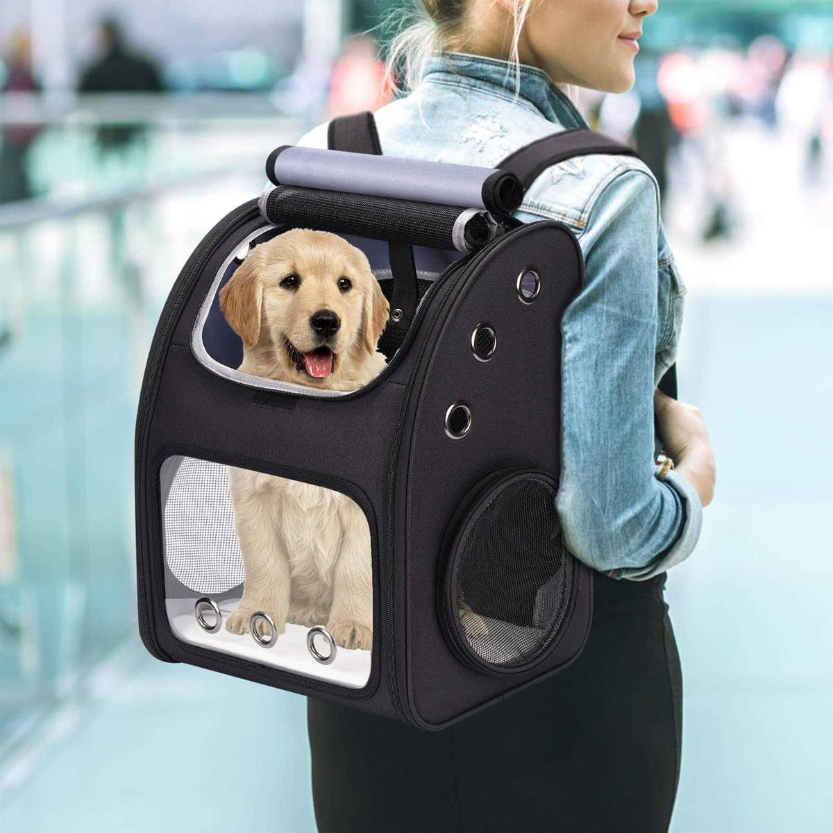 Expandable Pet Carrier Backpack J3319