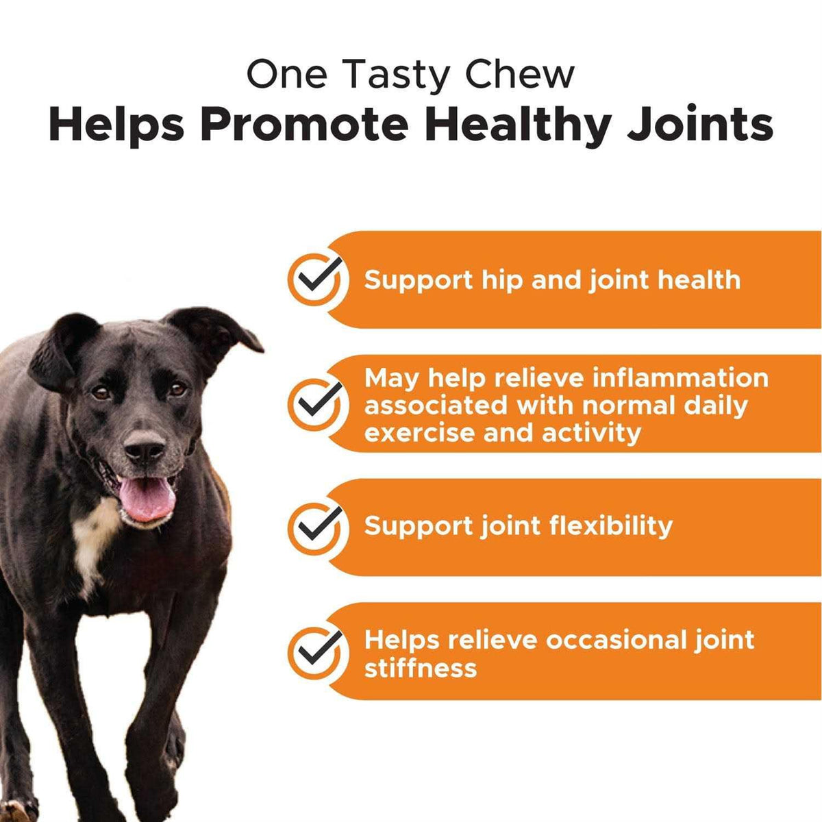 Dog Hip + Joint Health Turmeric Chews O81450