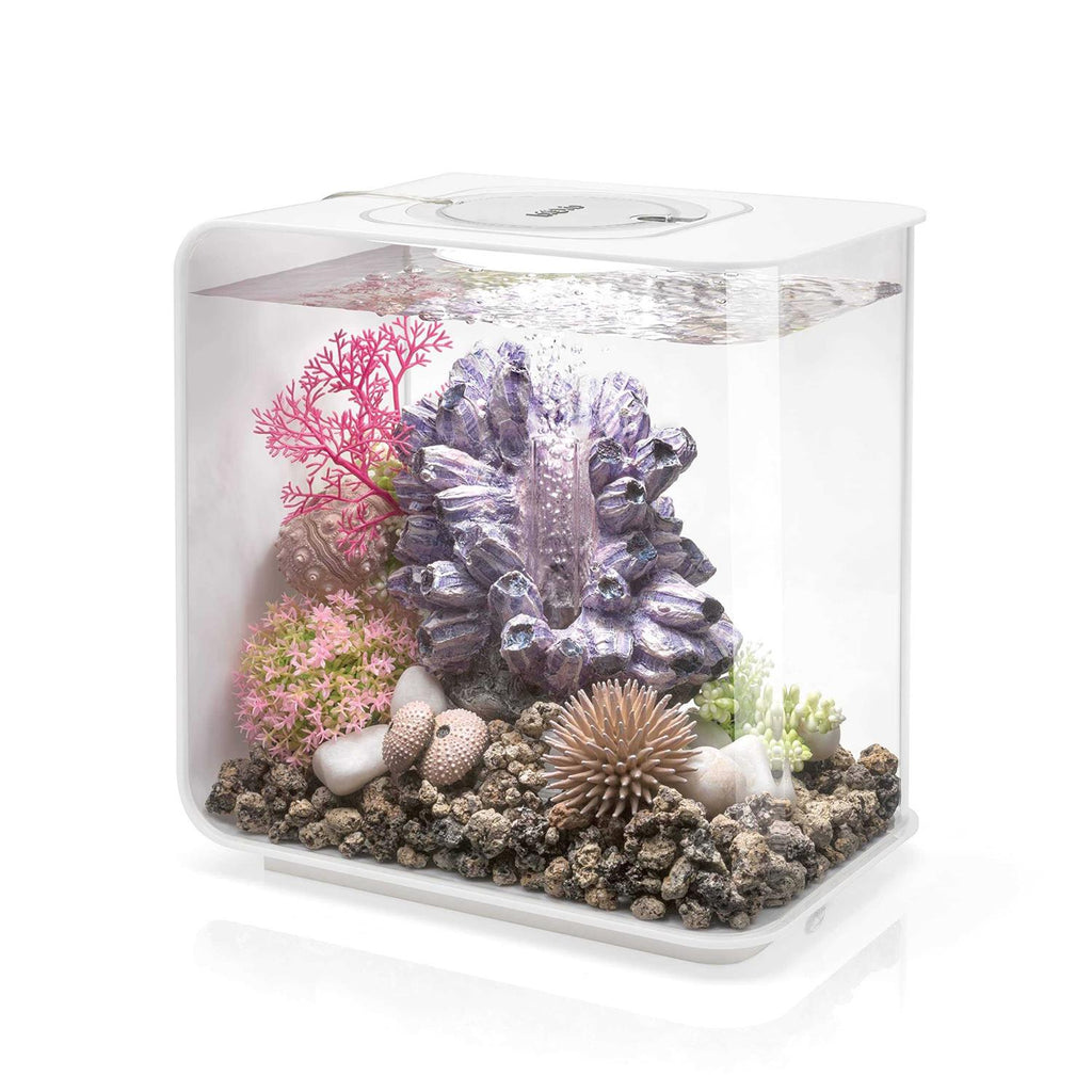 Pet Supplies W97571