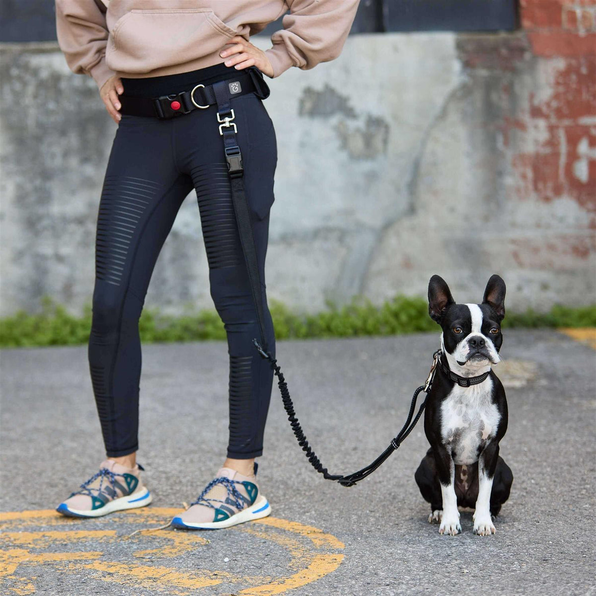 Pet Waist Belt & Bungee Leash H6505