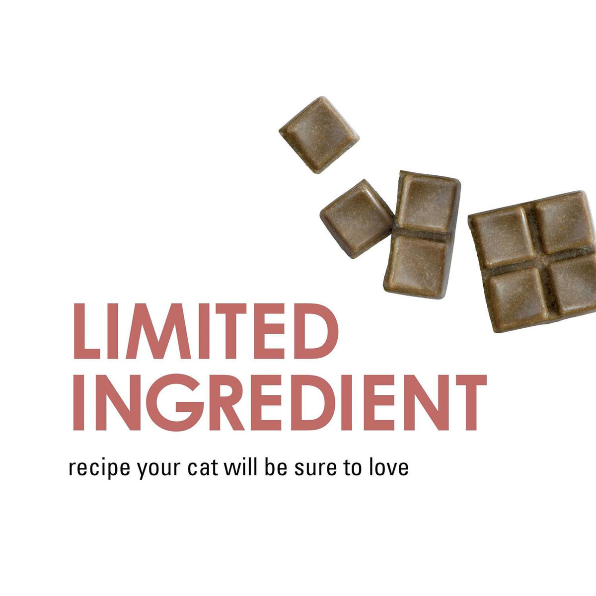 Limited Ingredient Salmon Flavor Cat Treats J5122