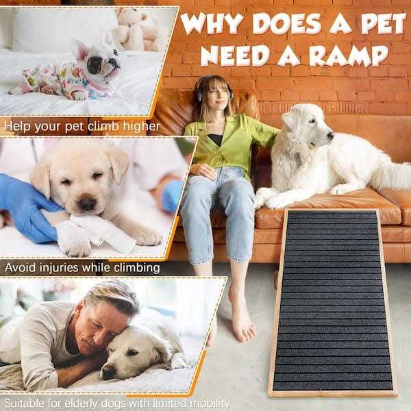 Folding Height Adjustable Non-slip Dog Ramp Q52707