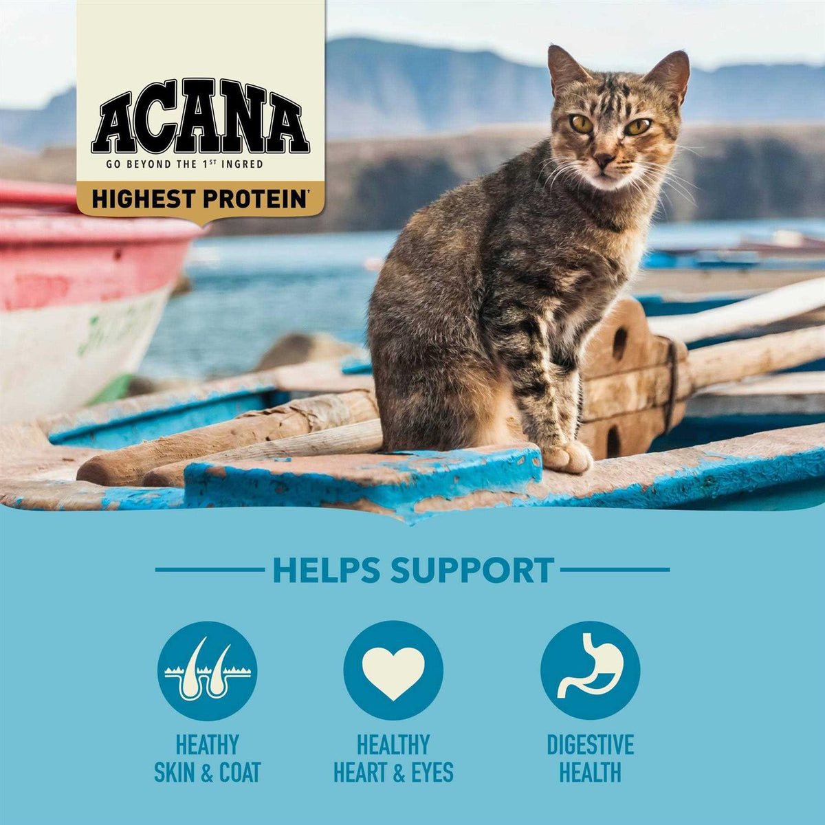 Wild Atlantic Dry Cat Food G933879