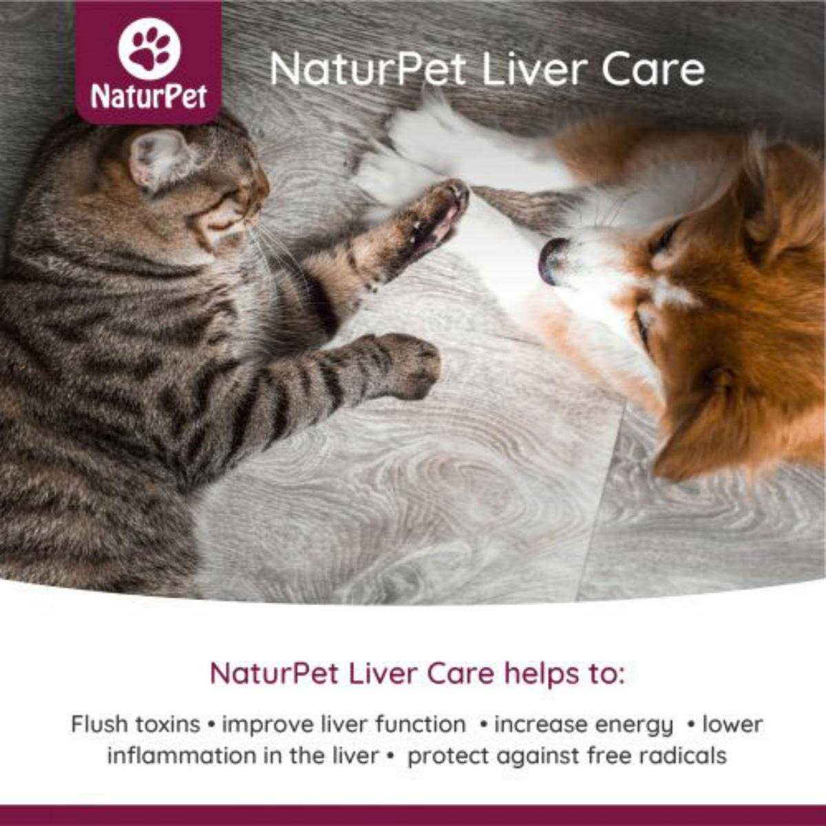 Liver Care 100ml Pet Supplies N914037