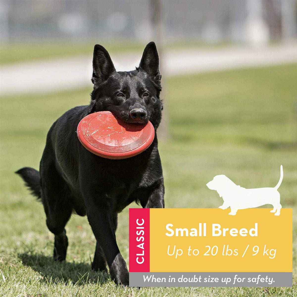 Dog Toy T260