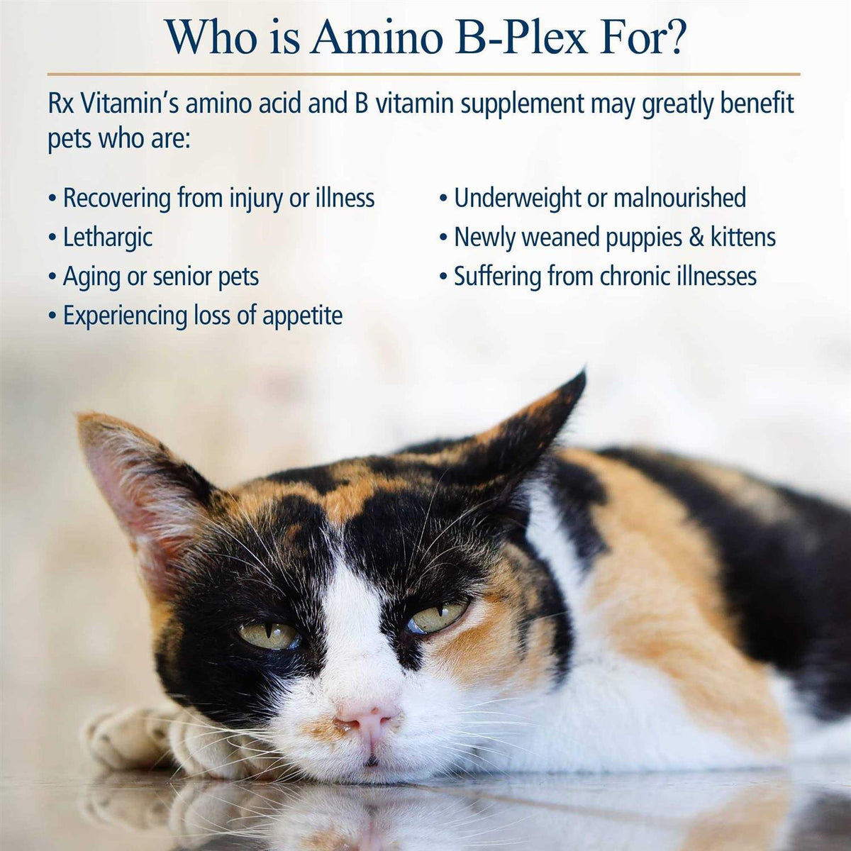 Amino B-Plex for Pets N62321