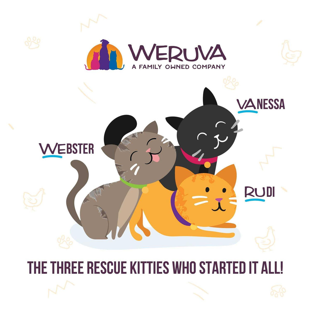 Wet Cat Food Variety Pack S99530