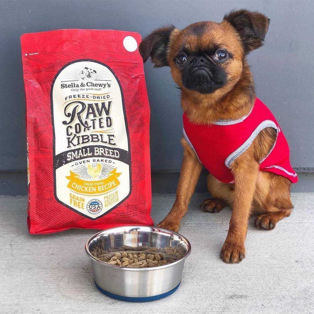 Raw Coated Kibble Dog Food E7255