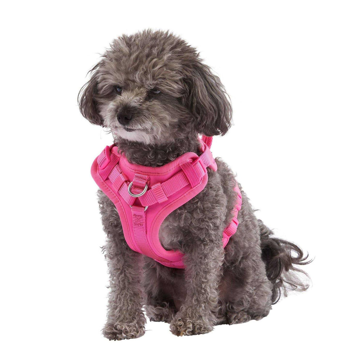 Neoprene Dog Harness H817320