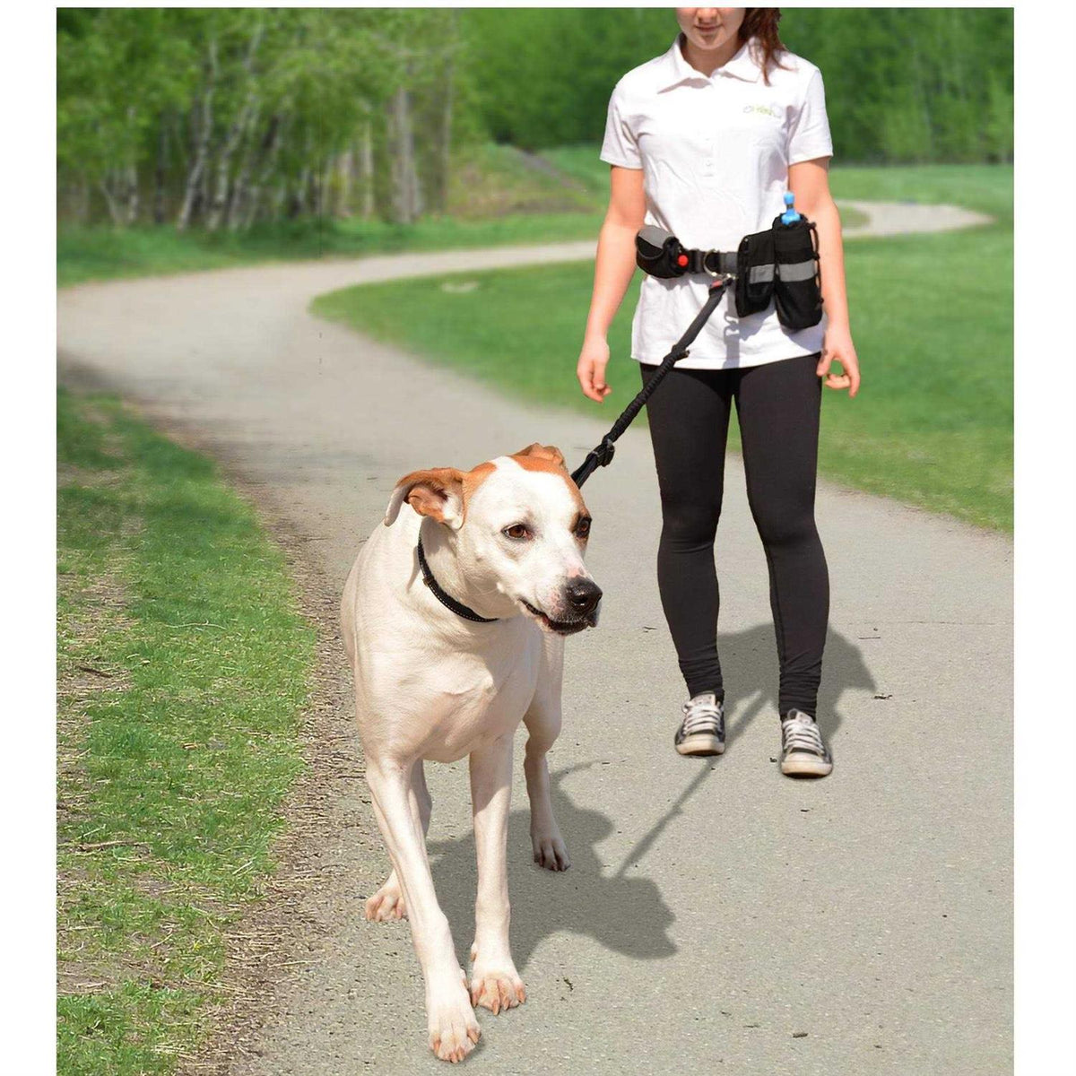 Pet Waist Belt & Bungee Leash H6505