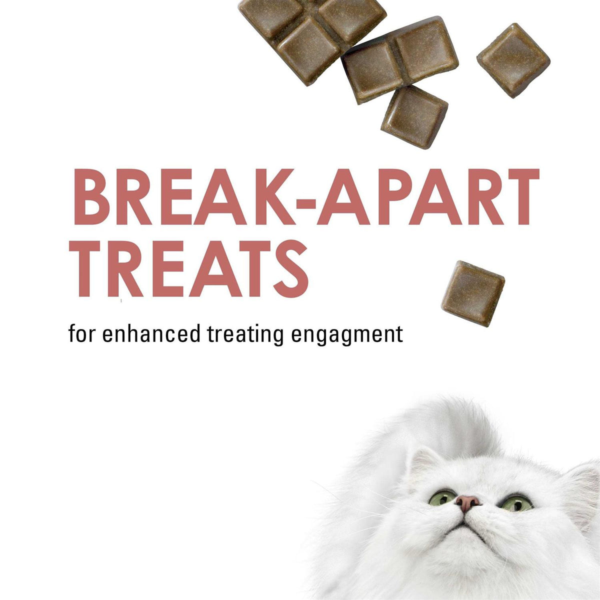 Limited Ingredient Salmon Flavor Cat Treats J5122