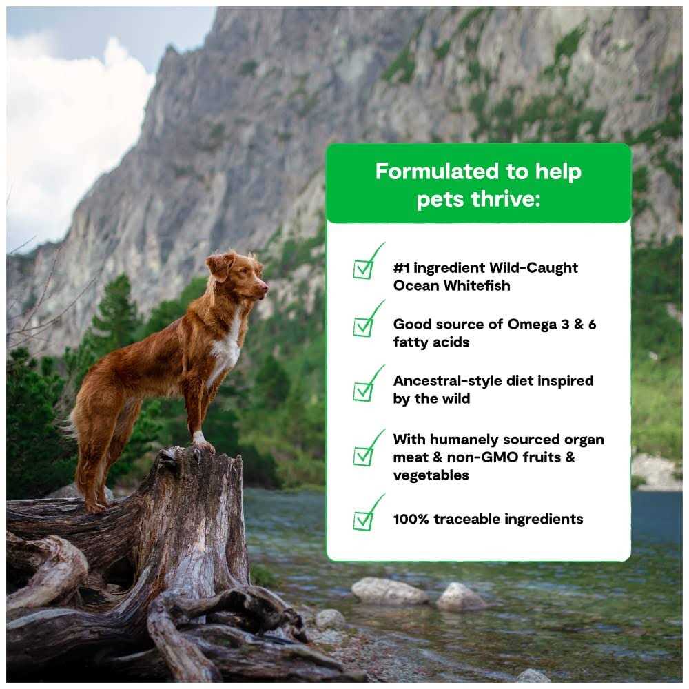Grain-Free Dog Food R928