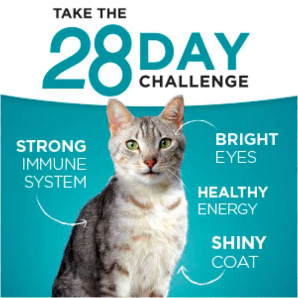 Dry Cat Food E839