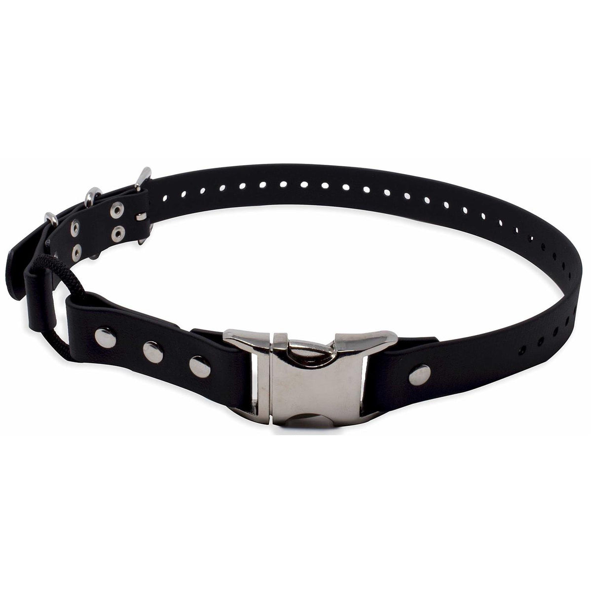Bungee Collar X2796