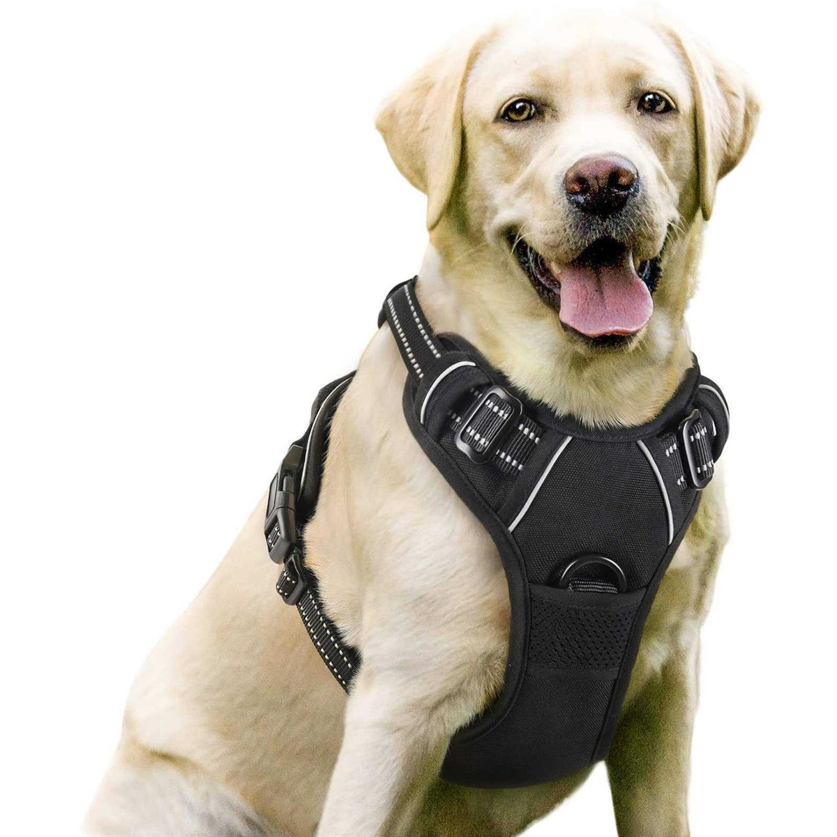 Adjustable Soft Padded Dog Harness with 2 Leash Clips T20565