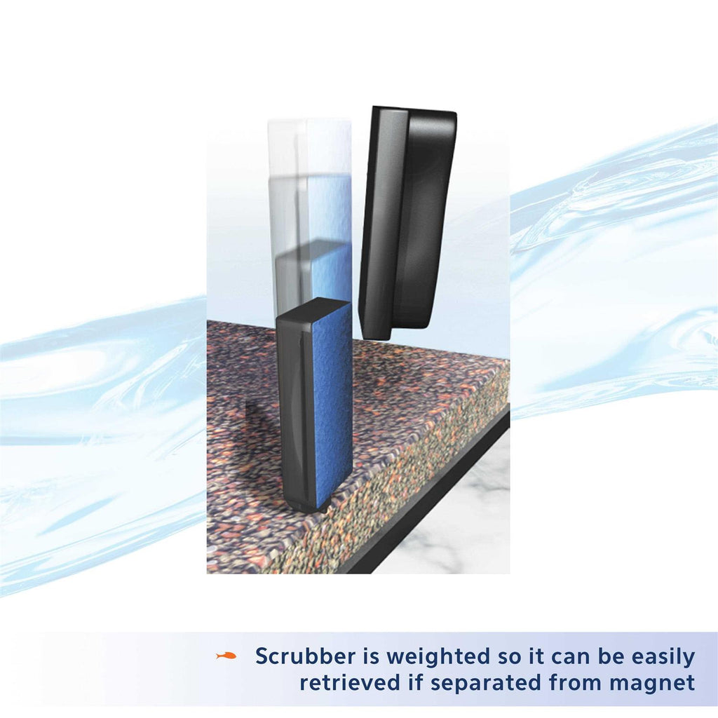 Algae Cleaning Magnet T117140