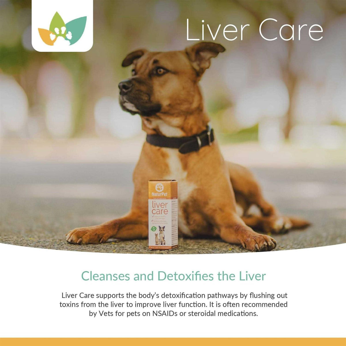 Liver Care 100ml Pet Supplies N914037