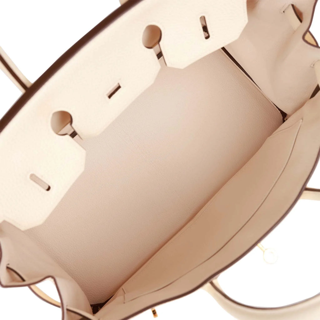 Birkin 35 Nata Clemence Gold Hardware C31147