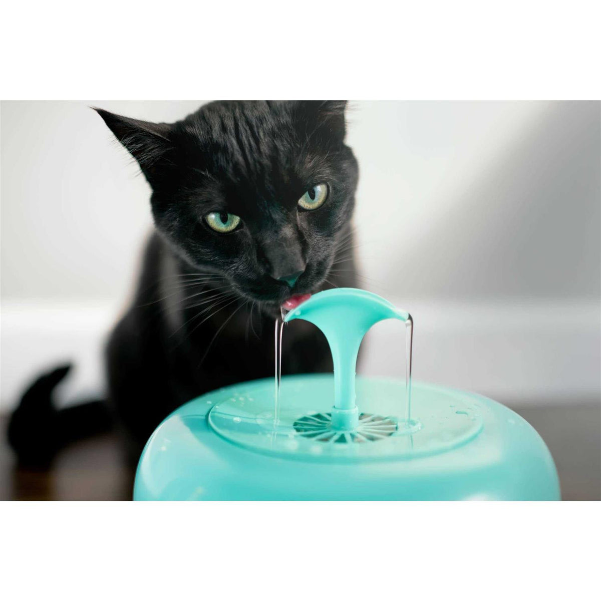 Water Fountain for Cats and Small Dogs with 5-Layer Filter N96608