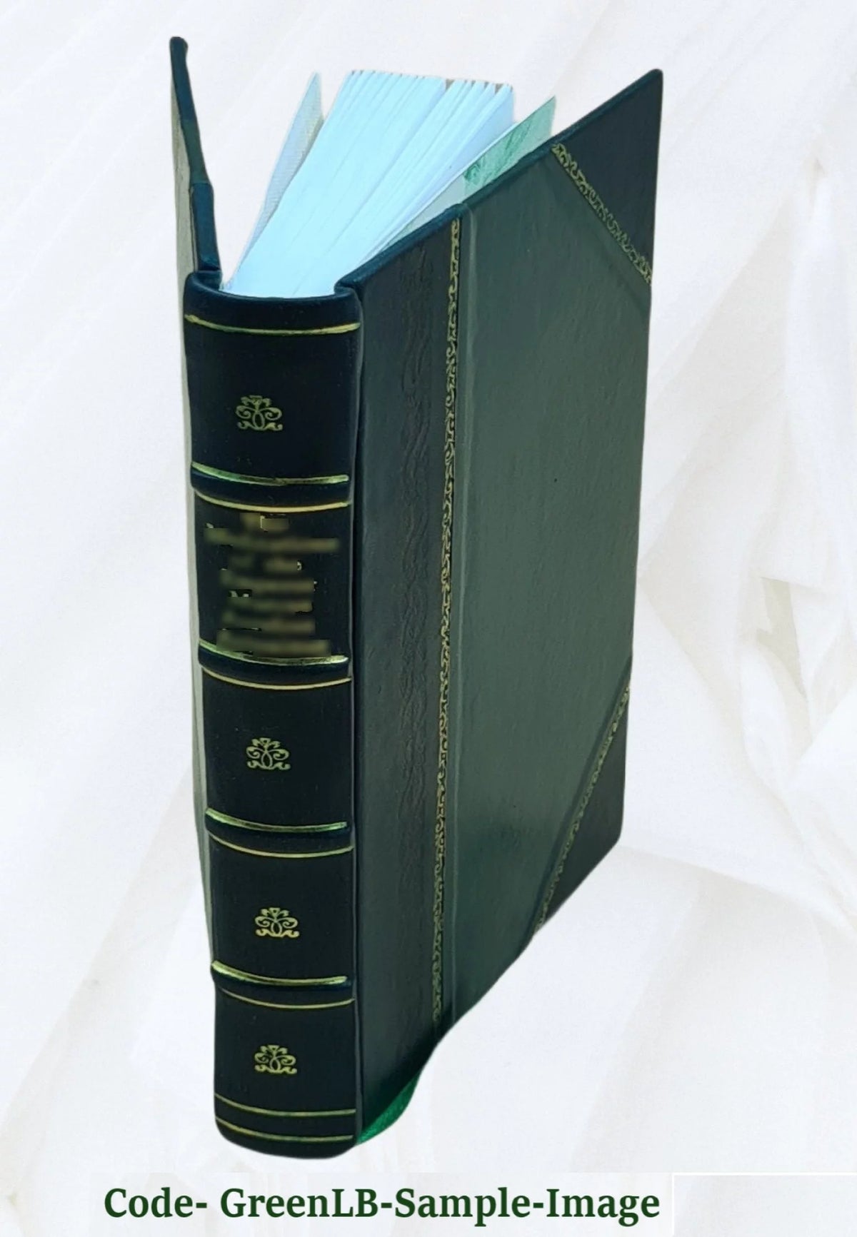Leather Bound H29806